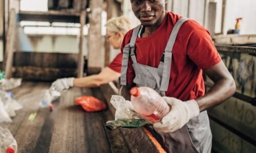 GreenScale Zambia – Accelerator